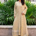 3 Piece Embroirdered Chiffon ACINTYA – FS50093